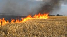 За прошедшие сутки на Харьковщине зафиксировано 27 пожаров в эко-системах