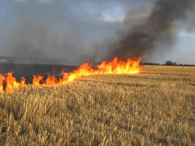 За прошедшие сутки на Харьковщине зафиксировано 27 пожаров в эко-системах
