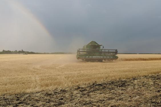 На Харьковщине намолотили первый миллион тонн зерна нового урожая