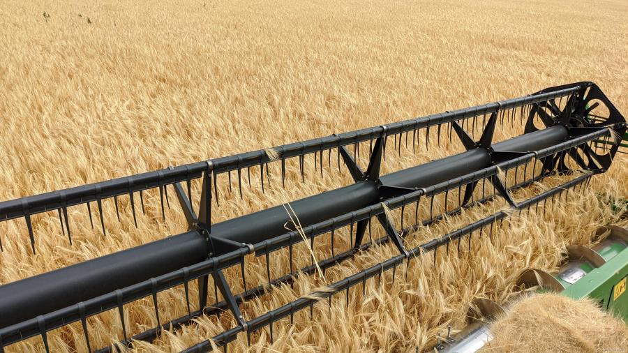 В Харьковской области рассчитывают собрать 2,9 млн тонн урожая пшеницы
