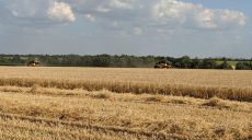 На Харьковщине собрали 2,5 млн тонн ранних зерновых
