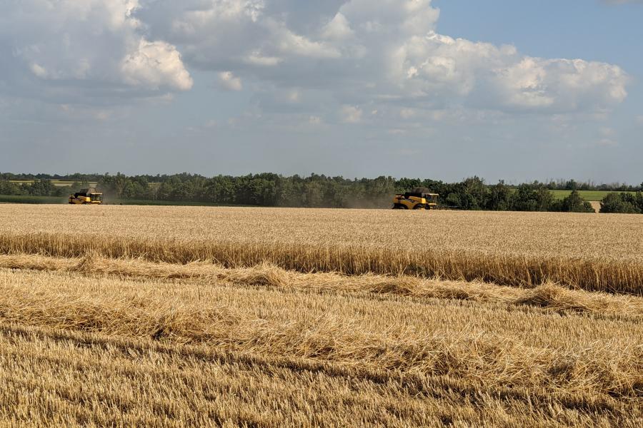 На Харьковщине собрали 2,5 млн тонн ранних зерновых