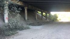 В Харькове мужчина отобрал сумку у пенсионерки