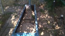 Мужчина в Харьковской области занимался надругательством над могилами (фото)