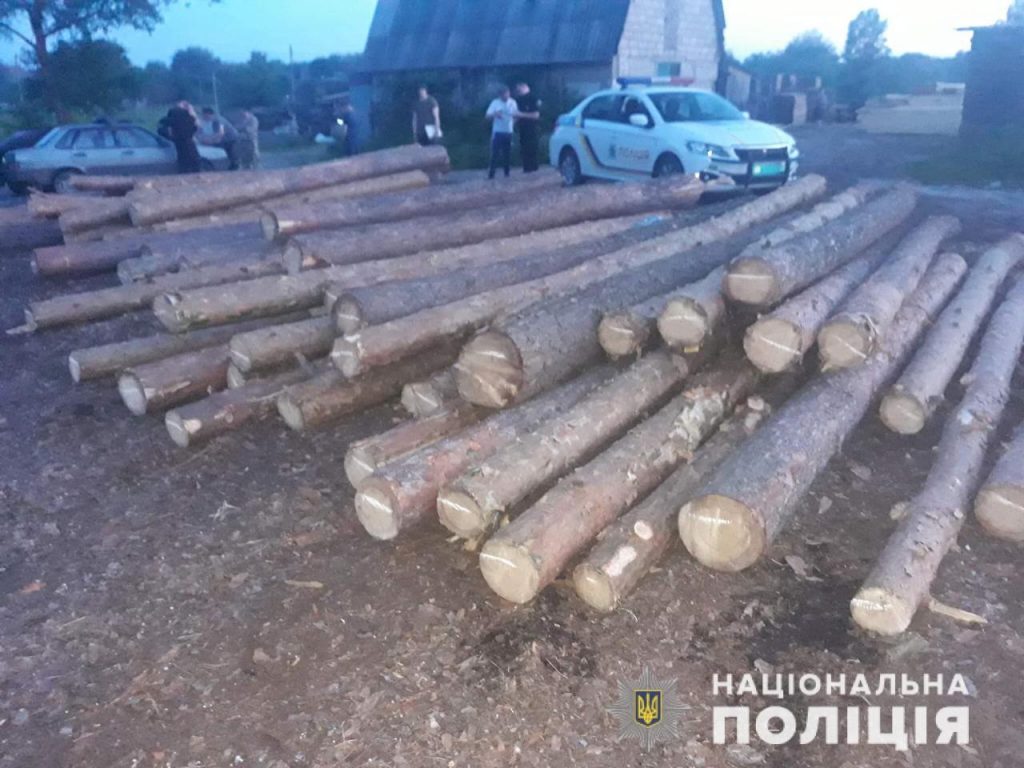 Злоумышленники вырубили лес на Харьковщине на сумму 120 тыс. гривен (фото)