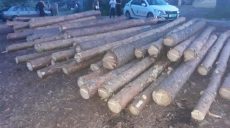Злоумышленники вырубили лес на Харьковщине на сумму 120 тыс. гривен (фото)