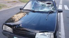 В Харькове велосипедист попал под колеса автомобиля