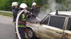 В Харьковской области во время движения загорелся автомобиль (фото)