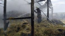 В Харьковской области спасатели 5 часов тушили сарай с сеном (фото)