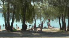 Харківський лабцентр не рекомендує купатися на п’яти пляжах (відео)