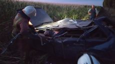 Спасатели деблокировали водителя из покореженного авто (фото)