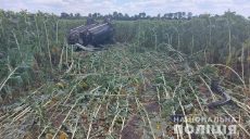 Смертельное ДТП: пьяный водитель съехал с автодороги Мерефа-Павлоград в поле (фото)