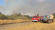 На Харківщині за добу трапилось 20 пожеж в екосистемах