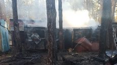 Возле базы отдыха в сосновом лесу на Харьковщине загорелись железнодорожные вагоны (фото)