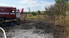 Из-за сжигания сухой травы сгорела крыша сарая (фото)