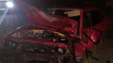 На выезде из Харькова в ДТП погибла женщина. Травмирован двухлетний мальчик