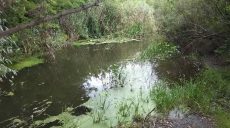 Из реки Лопань достали тело утопленника