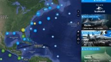 Иследователи морских глубин показали жизнь акул и других обитателей онлайн