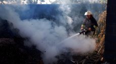 Больше часа спасатели тушили пожар в Харьковской области (фото)