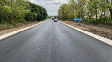 Собаку насмерть сбило авто в Харькове