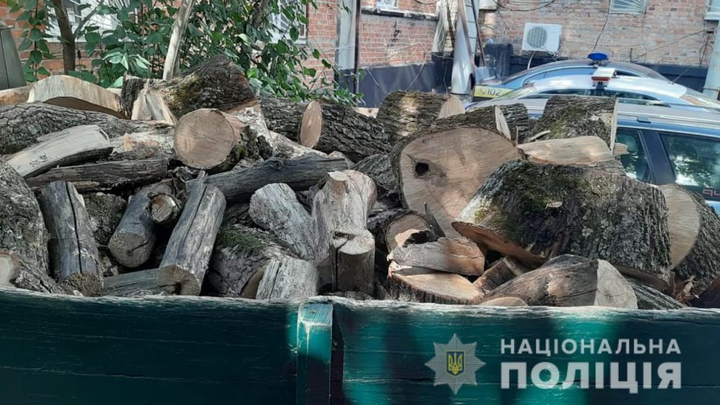 Местные жители самовольно рубили деревья в Красноградском районе (фото)