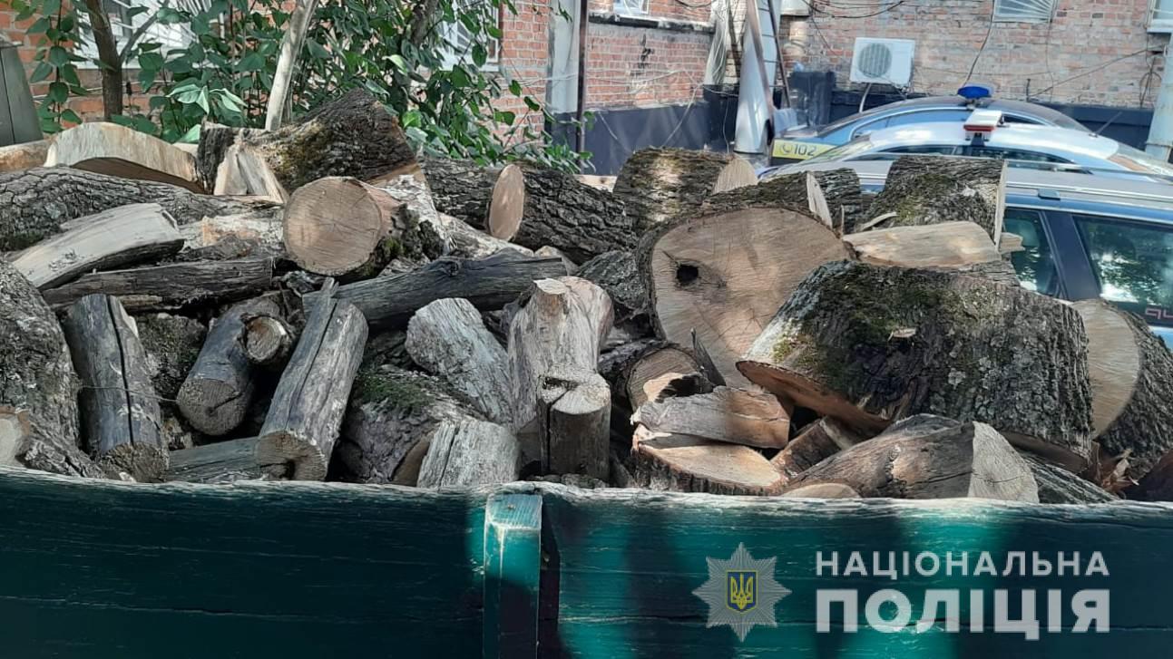 Местные жители самовольно рубили деревья в Красноградском районе (фото)
