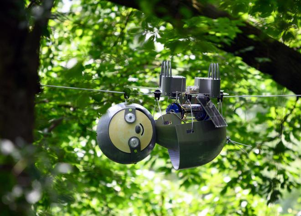 Американские инженеры сделали робота-ленивца