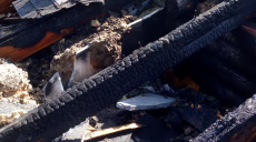 Из-за неисправности электропроводки в Харькове сгорела баня (фото)
