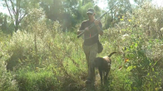 Відкрито сезон на пернату дичину: журналісти відправилися на полювання із мисливцями (відео)