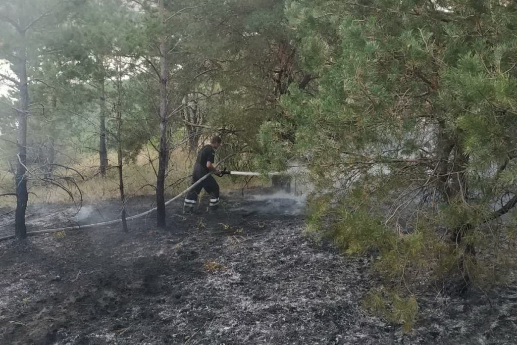 20 пожаров на открытых территориях: спасатели Харьковщины тушили сухостой, мусор и камыш (фото)