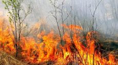 За сутки спасатели ликвидировали 18 пожаров в природных экосистемах Харьковщины