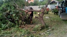 Коммунальщики приводят в порядок частный сектор в Немышлянском районе