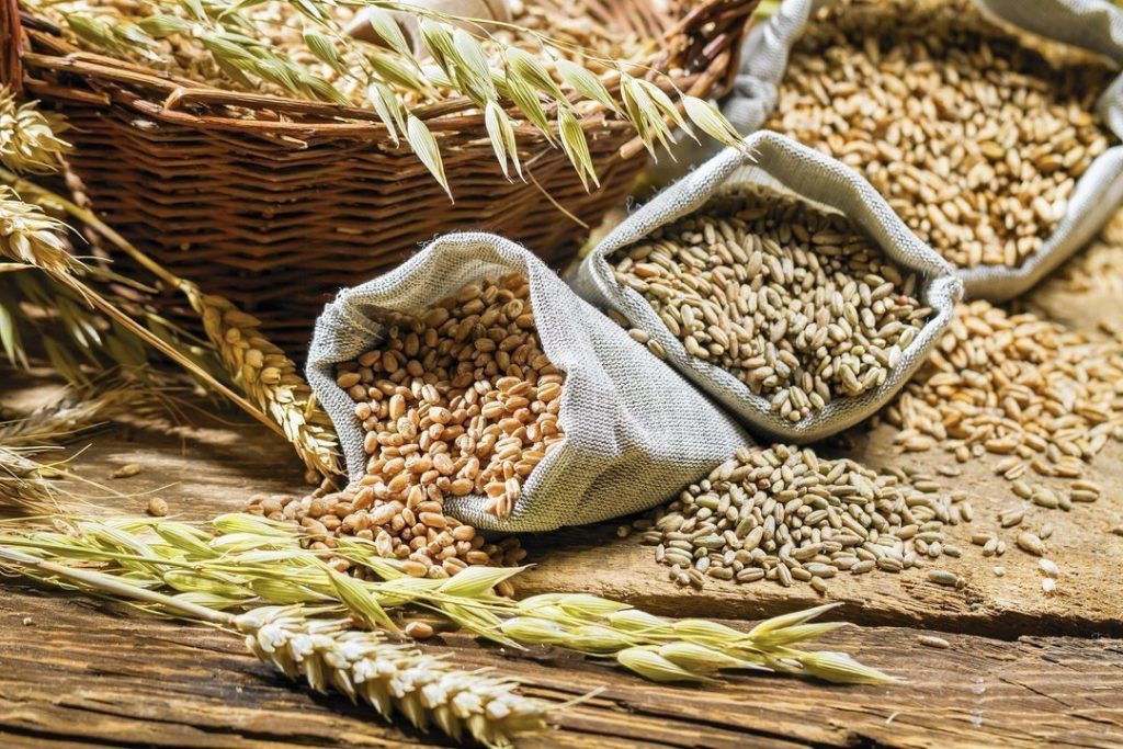 Оккупанты на Харьковщине предлагают аграриям «продать» зерно: в 3 раза дешевле и без гарантий оплаты
