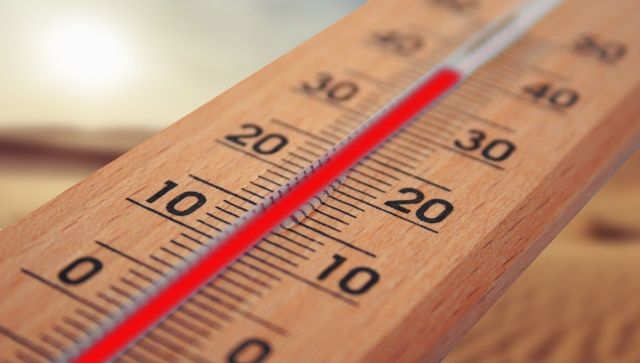 +31,4 градуса: недільна спека у Харкові побила рекорд 1962 року