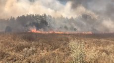 Пожежі у Двурічанському районі не вщухають, на місце виїхав голова ХОДА