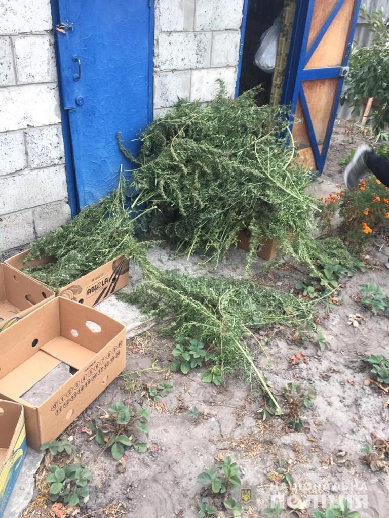 У жителя Харьковщины обнаружили наркосодержащие растения (фото)