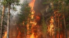 На Харьковщину из-за ситуации с пожарами вылетает правительственная делегация