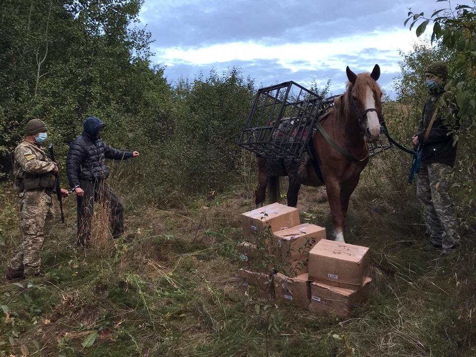 Харьковские пограничники задержали нарушителя границы на коне (фото)