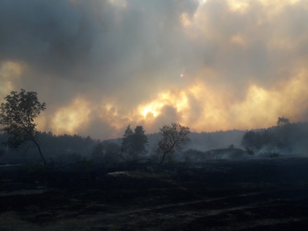 В Харьковской области за сутки ликвидированы семь крупных пожаров (видео, фото)