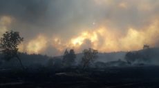 В Харьковской области за сутки ликвидированы семь крупных пожаров (видео, фото)