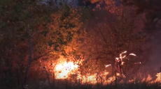 На Харківщині 33 людини залишилися без домівок через пожежі: чи отримають люди компенсацію (відео)