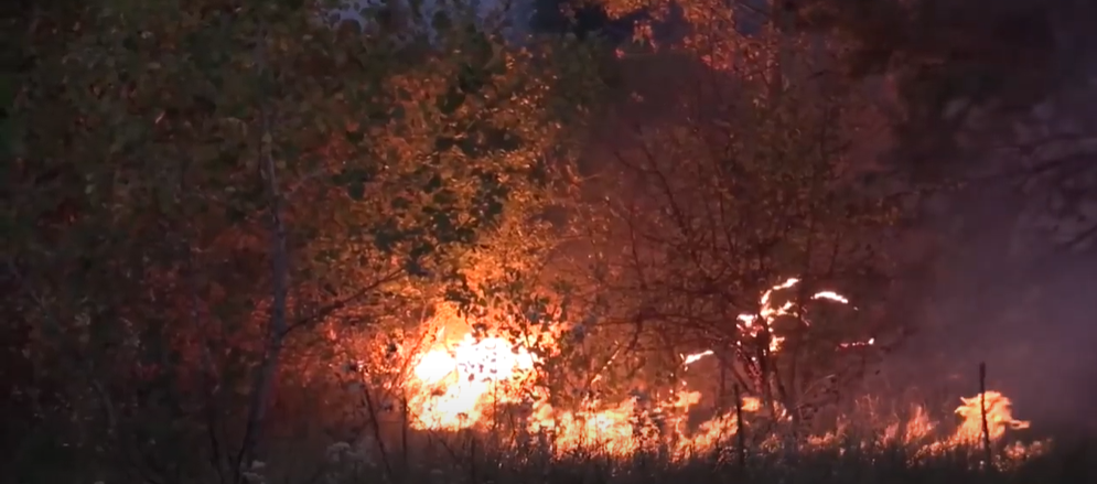 На Харківщині 33 людини залишилися без домівок через пожежі: чи отримають люди компенсацію (відео)