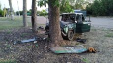 На Харьковщине ВАЗ врезался в дерево: один человек погиб, двое госпитализированы (фото)