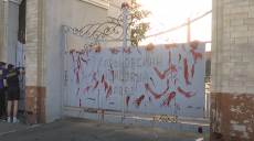 У Харкові пікетувальники облили «коксохім» фарбою та закидали легенями тварин (відео)