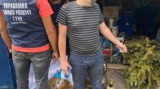 В районе Харьковщины выявлен очередной наркотический «агроном»