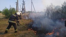 На Харьковщине сгорело 30 га кукурузного поля