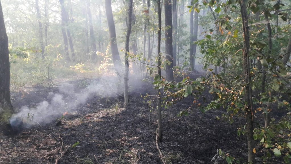 На Харьковщине предотвращен очередной лесной пожар