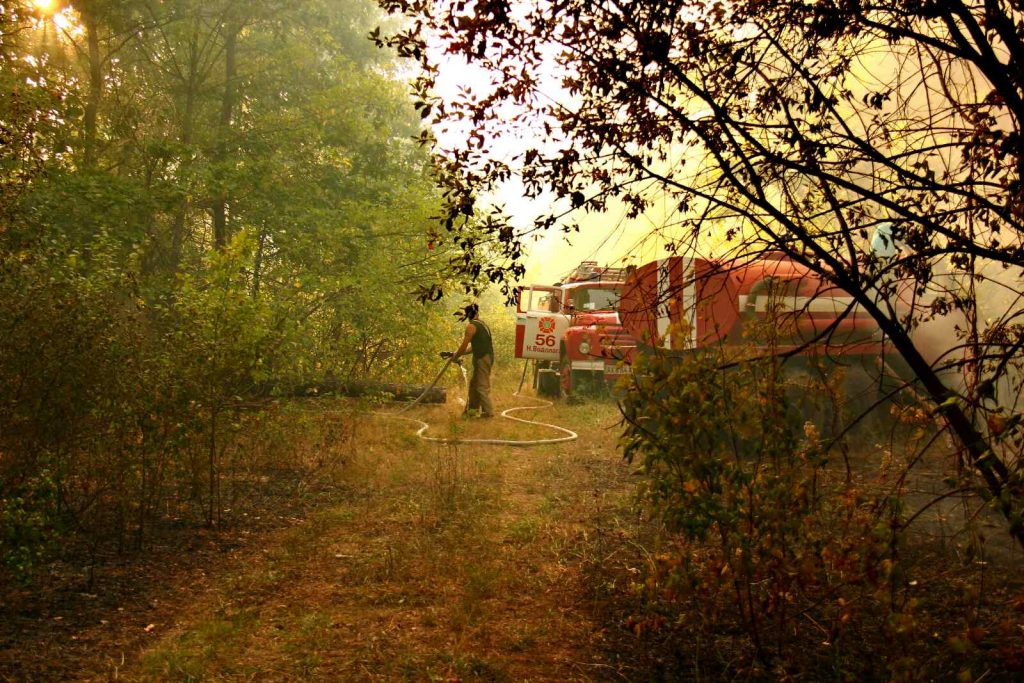 Продолжается ликвидация лесного пожара в Нововодолажском районе (фото)