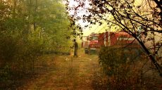 Продолжается ликвидация лесного пожара в Нововодолажском районе (фото)