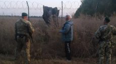 Харьковские пограничники задержали двух нарушителей (фото)